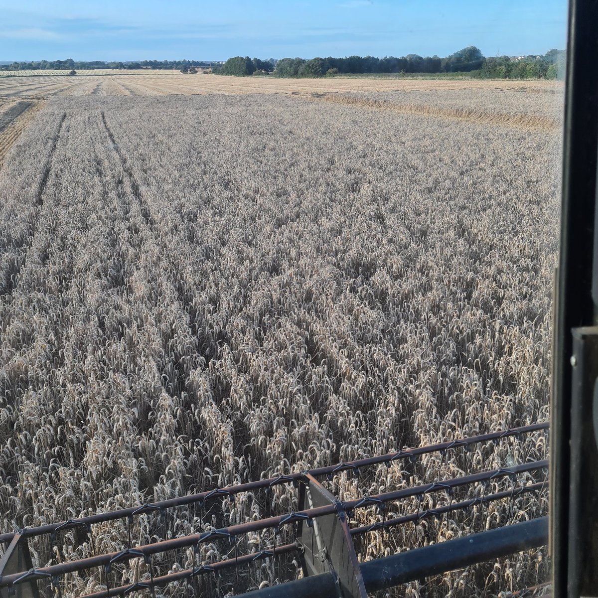 Simon Cowell tweet media