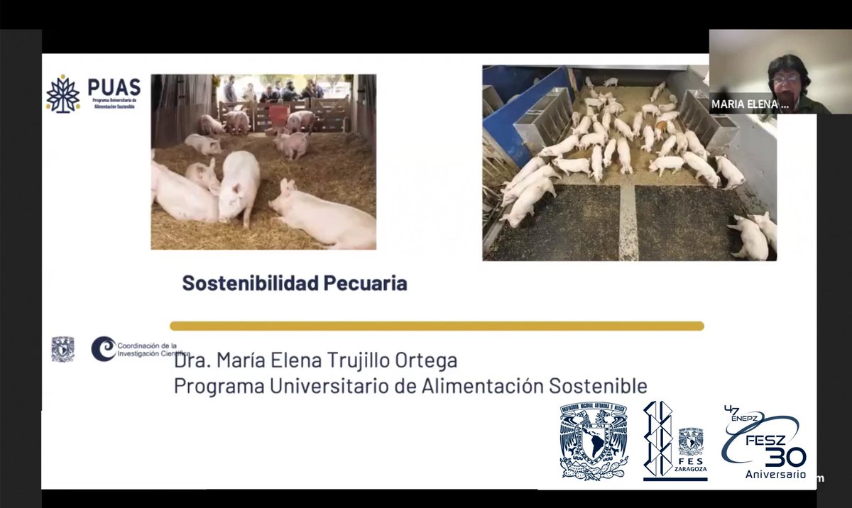unam_fesz's tweet photo. La FESZ realizó los días 12 y 13 de octubre el Foro webinar “ética y bioética, fundamento de la sostenibilidad en Educación Superior”, con el propósito de analizar los retos éticos a los que se enfrentan los universitarios en su quehacer cotidiano.
https://t.co/YOQHEOxRUj
#FESZ https://t.co/xEdI9JgIHz