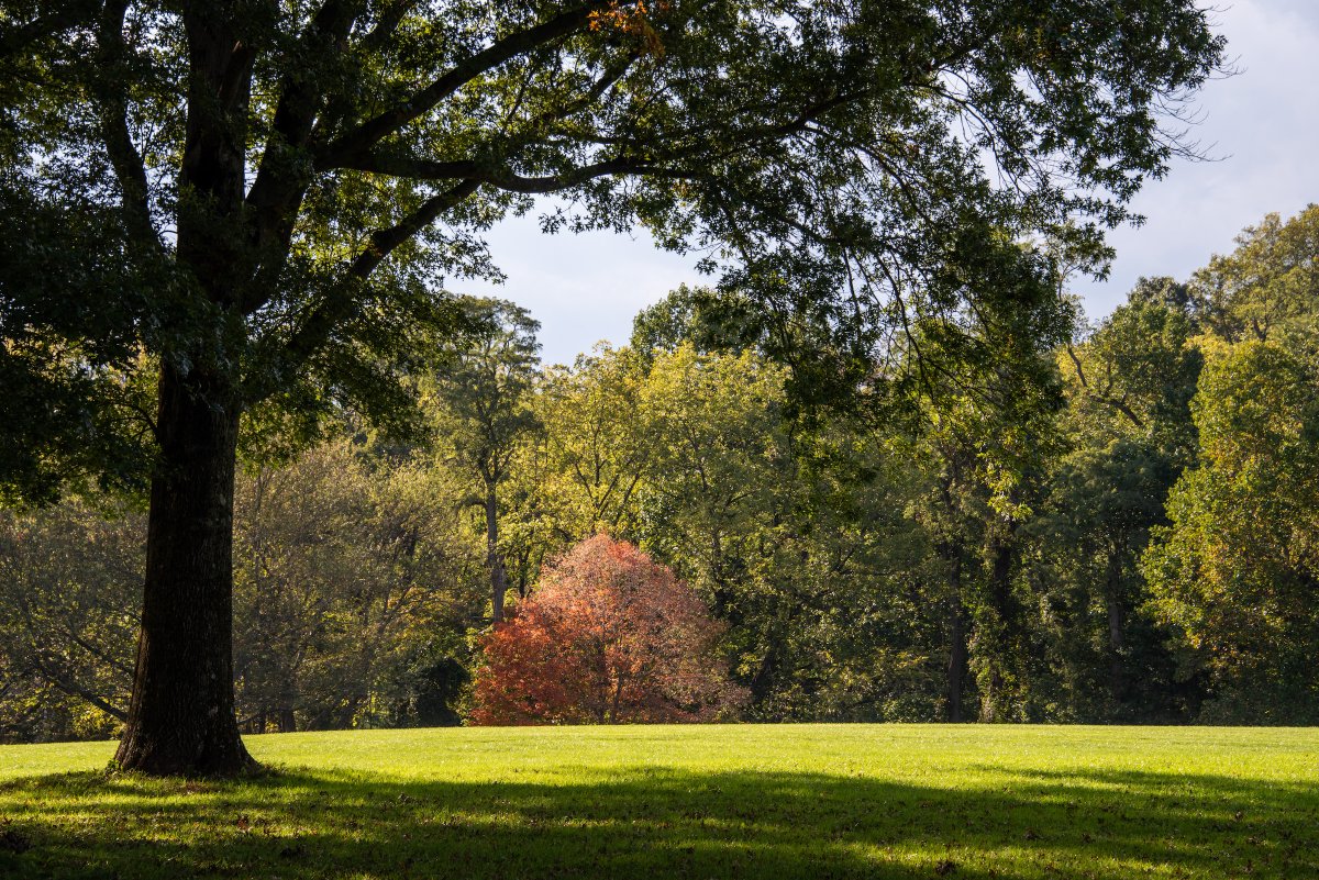 Monmouth County Park System tweet media