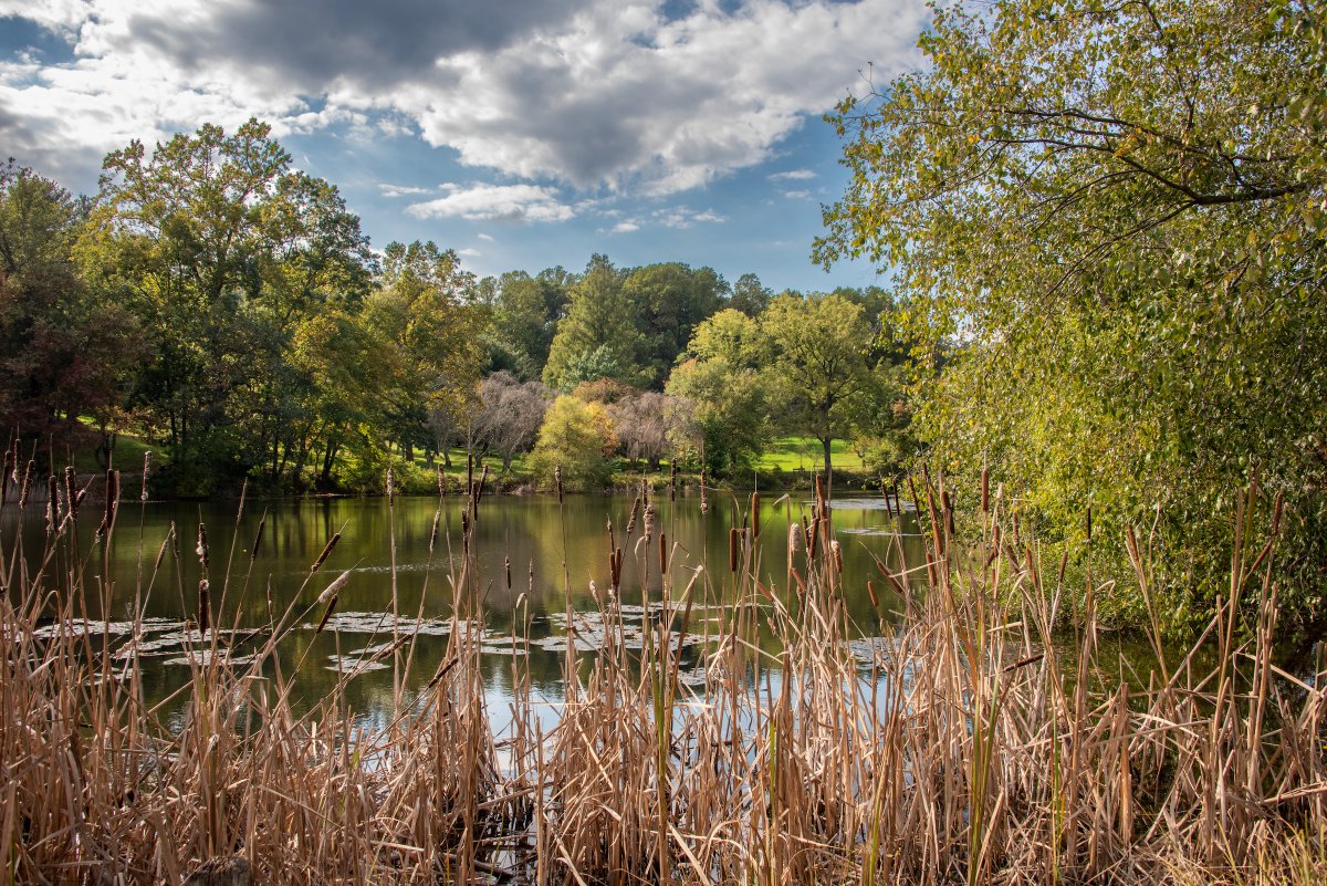 Monmouth County Park System tweet media