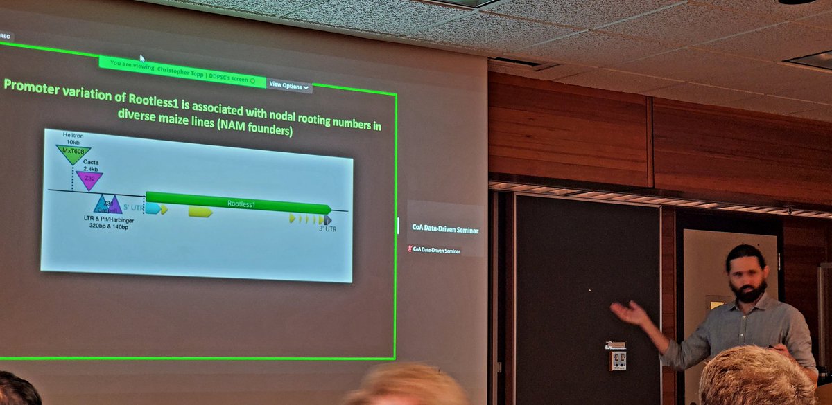 Brandon Reese (@brandonreesebrm) on Twitter photo Thank you to @RootDevo, <a href="/DanforthCenter/">Danforth Center</a>, for today's <a href="/PurdueAg/">Purdue Agriculture</a> Data Driven seminar series. A great talk covering the challenges of #sustainableagriculture as it relates to root systems and their traits.
#DigitalAg
#BRM
#phenotyping
<a href="/LifeAtPurdue/">Purdue University</a>
<a href="/MarkSullivanBRM/">Mark Sullivan, MBRM</a>
<a href="/McGiveronBRM/">Leanne McGiveron, MBRM</a> Thank you to @RootDevo, <a href="/DanforthCenter/">Danforth Center</a>, for today's <a href="/PurdueAg/">Purdue Agriculture</a> Data Driven seminar series. A great talk covering the challenges of #sustainableagriculture as it relates to root systems and their traits.
#DigitalAg
#BRM
#phenotyping
<a href="/LifeAtPurdue/">Purdue University</a>
<a href="/MarkSullivanBRM/">Mark Sullivan, MBRM</a>
<a href="/McGiveronBRM/">Leanne McGiveron, MBRM</a>