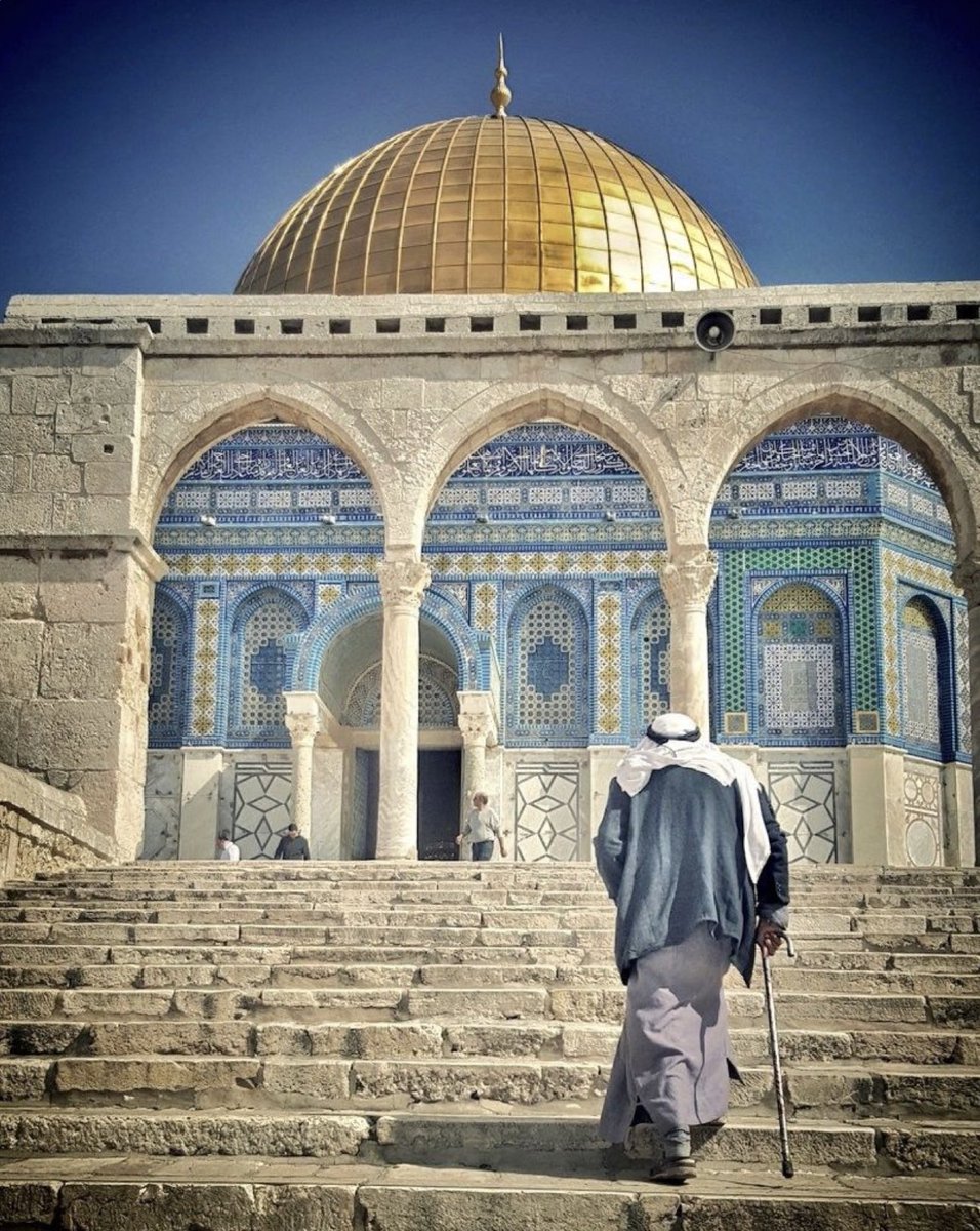 ﴿وَنَصَرْنَاهُمْ فَكَانُوا هُمُ الْغَالِبِينَ﴾
