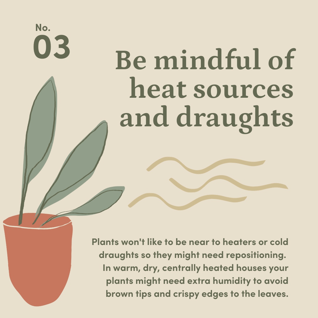 3 houseplant care tips for winter
1. Reduce the frequency that you water
2. Make the most of the light
3. Be mindful of heat sources and draughts
See our blog at shopgreenrooms.com for the in-depth advice
#winterhouseplantcare #houseplantcare