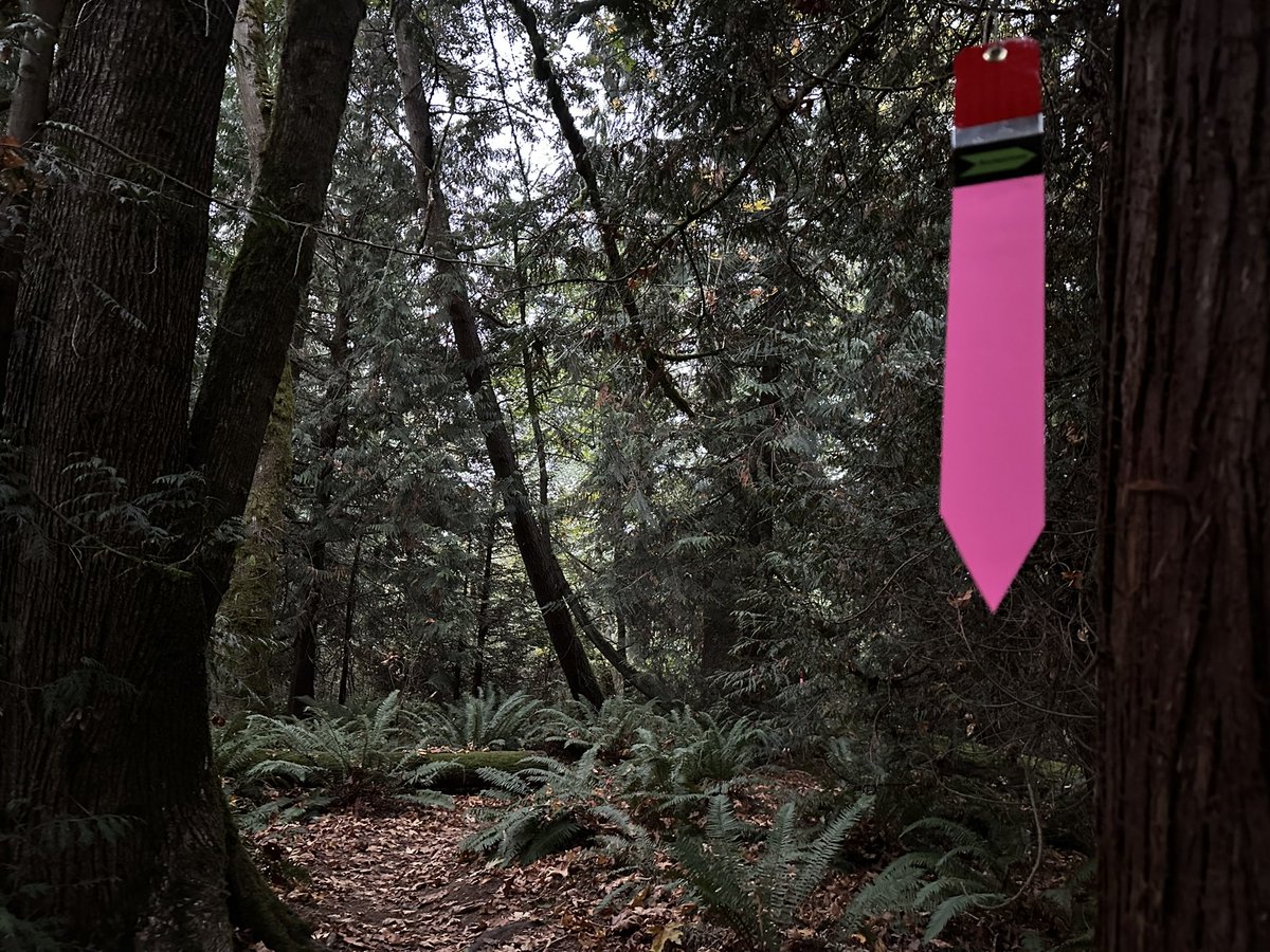 ATRA 🏃‍♂️ 🇺🇲 🏃 tweet media