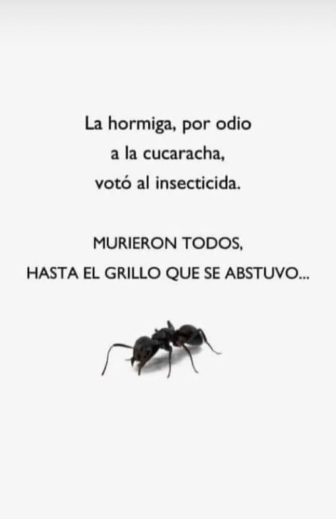 soyingridbeck's tweet photo. https://t.co/LxRO8erITO