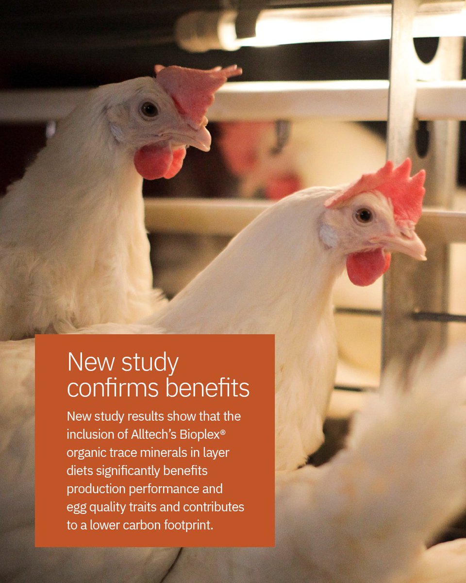 Alltech's tweet photo. The meta-analysis, led by Dr. Laurann Byrne, research project manager at the Alltech European Bioscience Centre, considered the importance of mineral form on production performance, egg quality traits and carbon footprint. https://t.co/Be50PgmKaT https://t.co/LXkubCjsLW