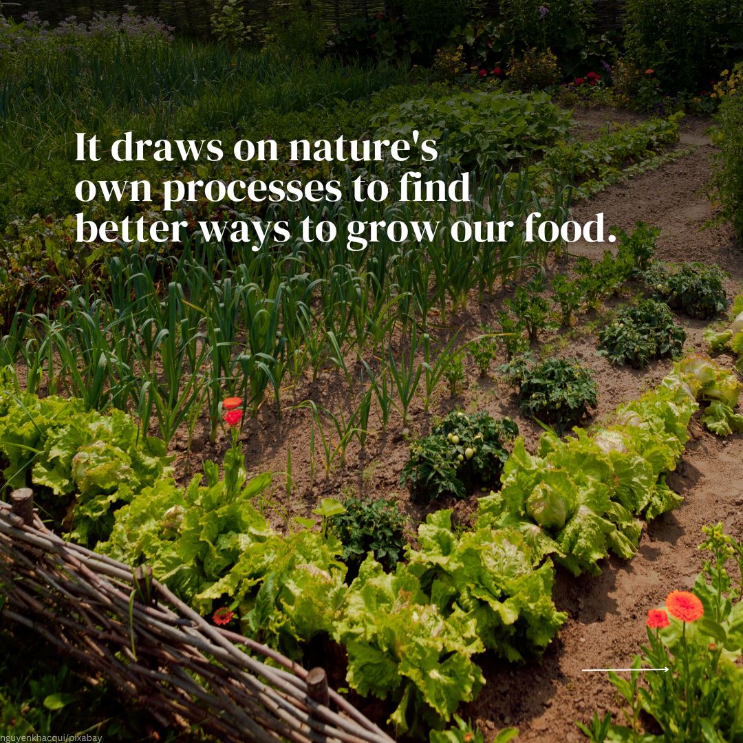 UNEP's tweet photo. Every minute, the world spends $1M on agriculture subsidies, yet 90% of crop varieties vanished in 100 years.

Agroecology, an eco-friendly farming approach, promotes biodiversity &amp; strengthens local economies. #ForPeopleForPlanet, it's time we farm with nature, not against it.