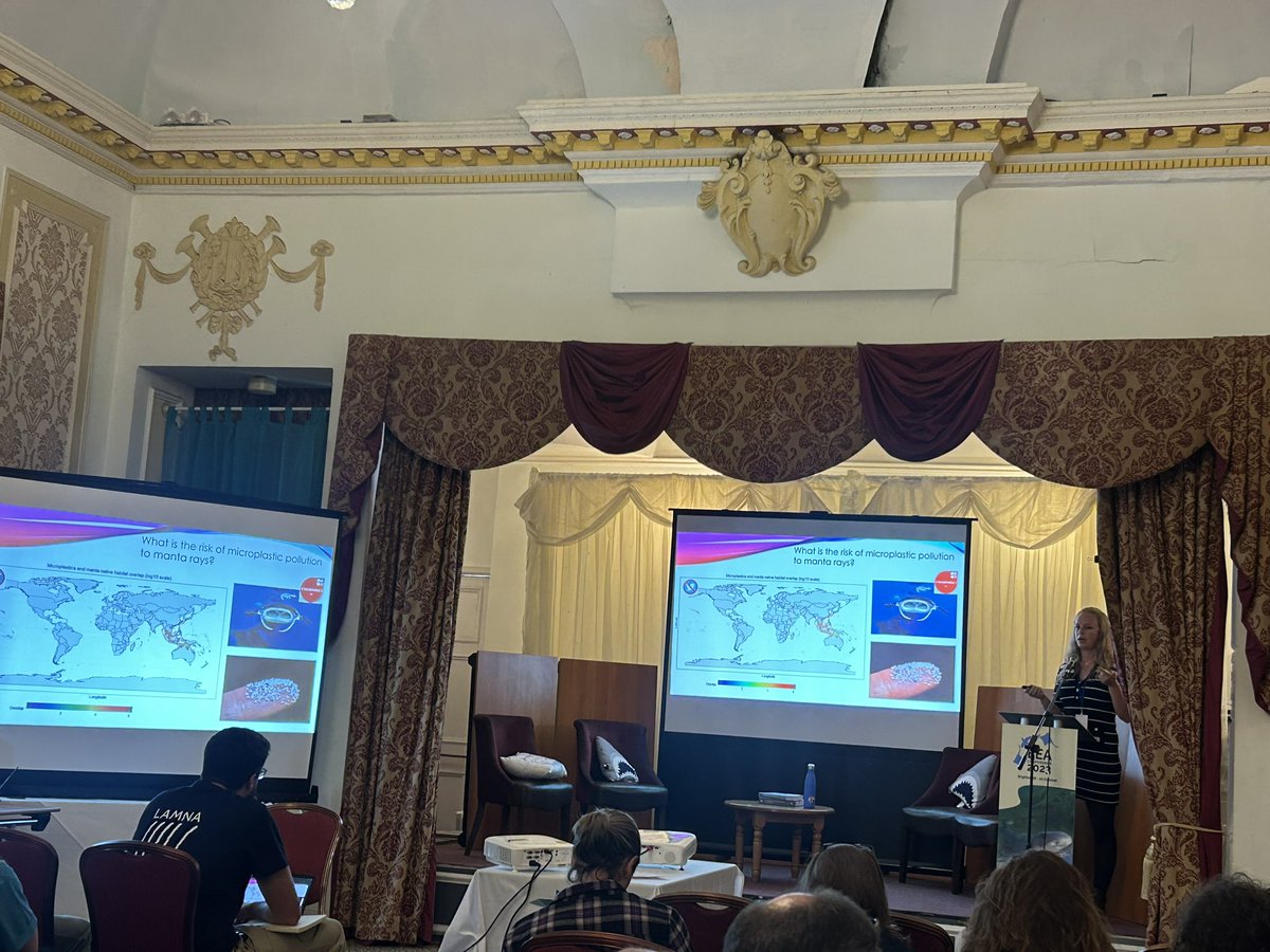 Alice Chamberlain tweet media