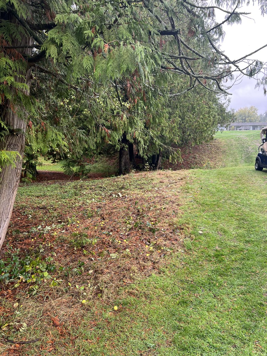 HazelmereGC's tweet photo. Amazing job clearing the right side of the driving range! ⛳️ #thankasuper #turfteam https://t.co/CwoNfaCoyv