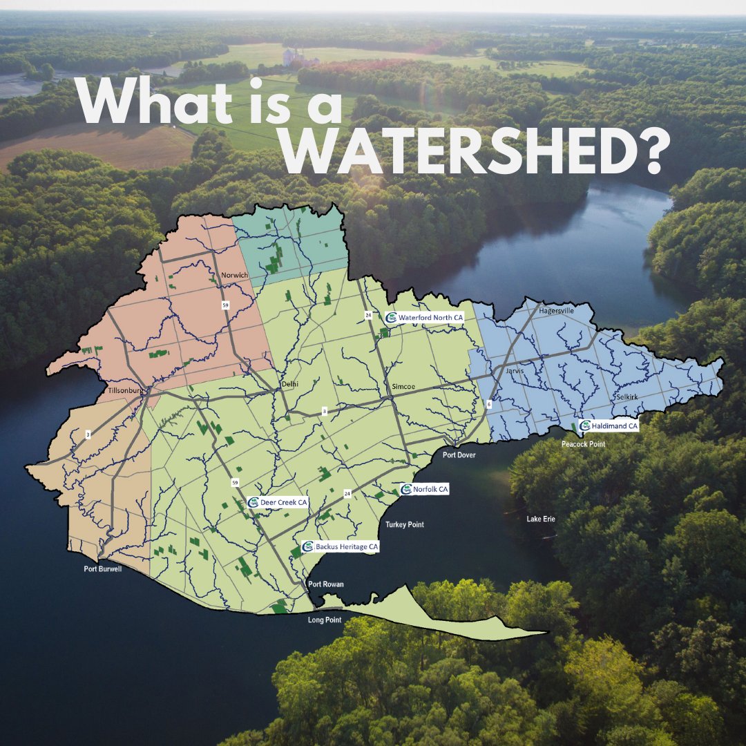 longpointca's tweet image. DYK? A watershed is an area of land drained by a creek or stream into a river which then drains into a body of water such as a lake or pond. Everything is connected, meaning that our actions upstream can affect conditions downstream.

Learn more on our website!
#watersheds