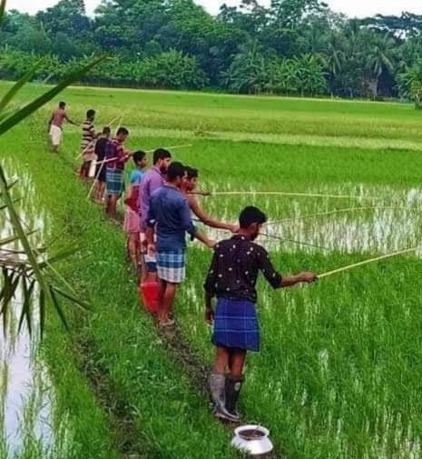 UshaSoolapani's tweet photo. #Agroecology
#Sunderbans #Hingalganch
#Localfoodsecurity https://t.co/dT1tqtR5Aa