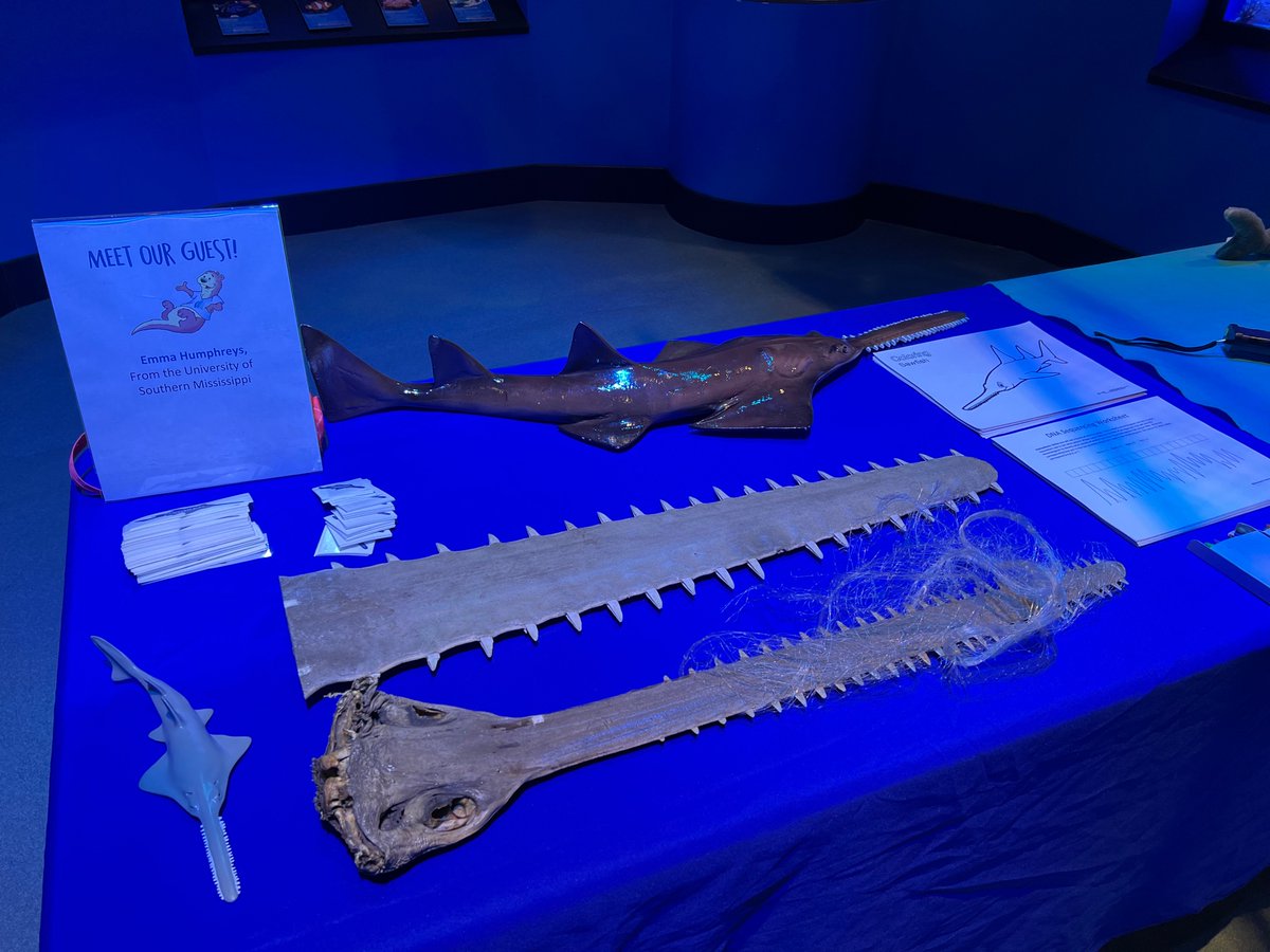Emma Humphreys (@emma_humphreys_) on Twitter photo Always a blast to do Homeschool Day with <a href="/MS_aquarium/">Mississippi Aquarium</a>! Today we celebrated a belated #InternationalSawfishDay with DNA activities and games! <a href="/sawfishconserv/">SawfishConservation</a> <a href="/USMPhillipsLab/">Phillips Lab @ USM</a> Always a blast to do Homeschool Day with <a href="/MS_aquarium/">Mississippi Aquarium</a>! Today we celebrated a belated #InternationalSawfishDay with DNA activities and games! <a href="/sawfishconserv/">SawfishConservation</a> <a href="/USMPhillipsLab/">Phillips Lab @ USM</a>
