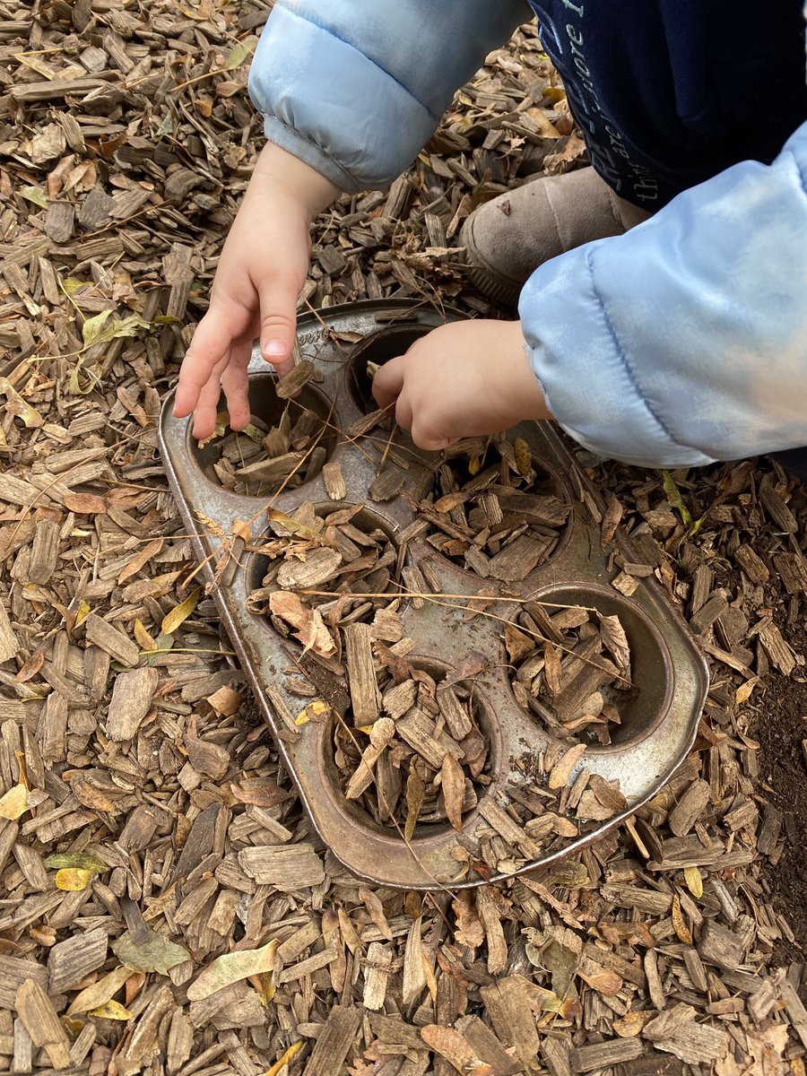 johnsonfamadv's tweet photo. Day 4 of the #KinderBioBlitz invites students to make connections: “This ladybug is shaped like a seed”, “This wood chip is a rectangle”, A dry leaf looks like rotting wood”, “I’m making a cake!” https://t.co/xxP7xVBTJo