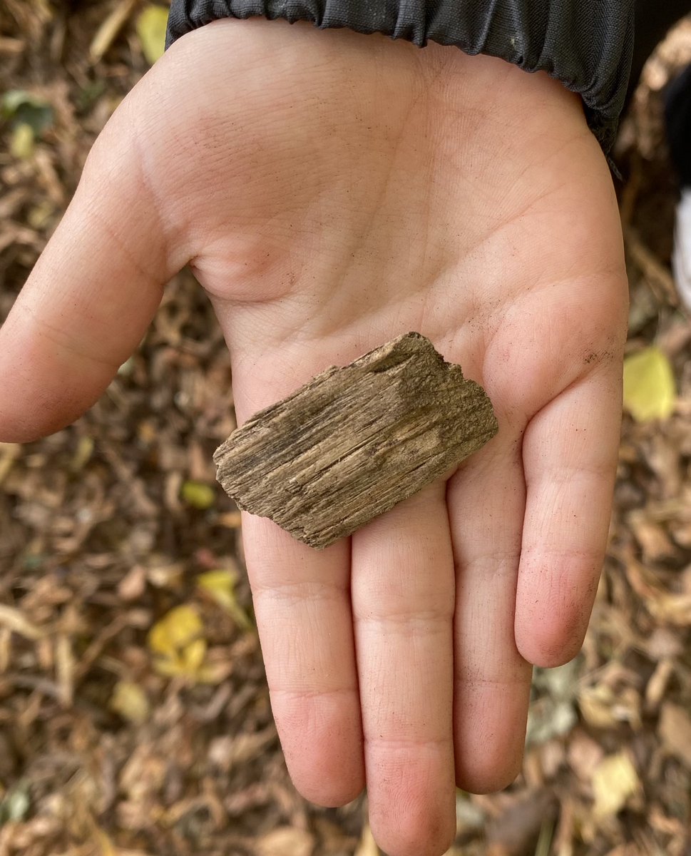 johnsonfamadv's tweet photo. Day 4 of the #KinderBioBlitz invites students to make connections: “This ladybug is shaped like a seed”, “This wood chip is a rectangle”, A dry leaf looks like rotting wood”, “I’m making a cake!” https://t.co/xxP7xVBTJo