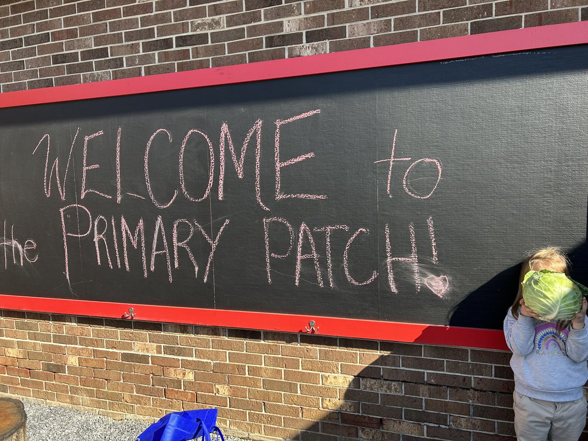 Chelsea Foster tweet media