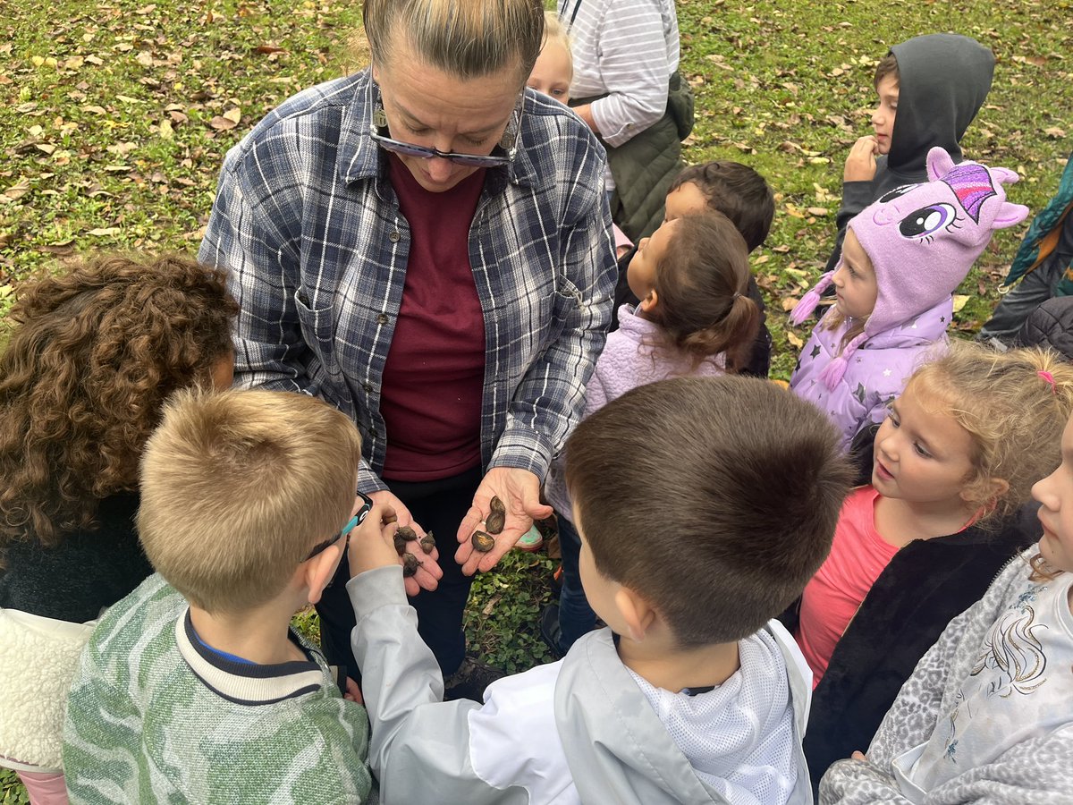 mrhalbesma's tweet image. Awesome outdoor education experiences happening today in the @GenoaCitySchool school forest! #GreenLightCulture #Engagement #Relevance