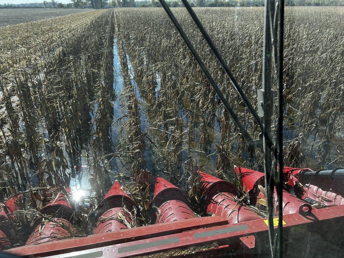 Jon Anderson tweet media