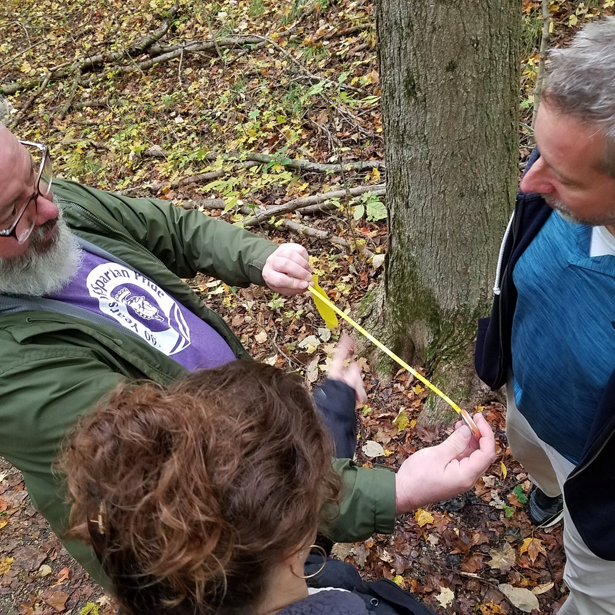 Anna McCrumb tweet media