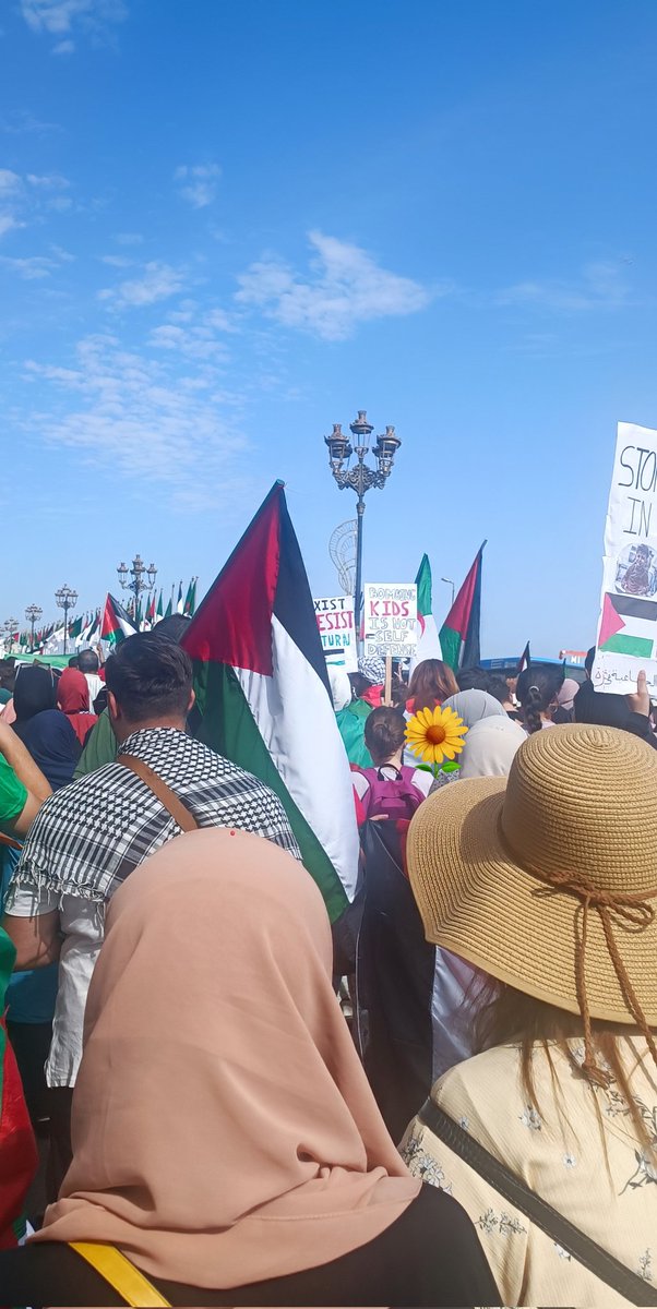 Turnsoleil22's tweet photo. 🇩🇿🇵🇸 #Alger #Algerie #Peace #ExpressionPopulaire #FreePalestine https://t.co/kcIAyMQJgK