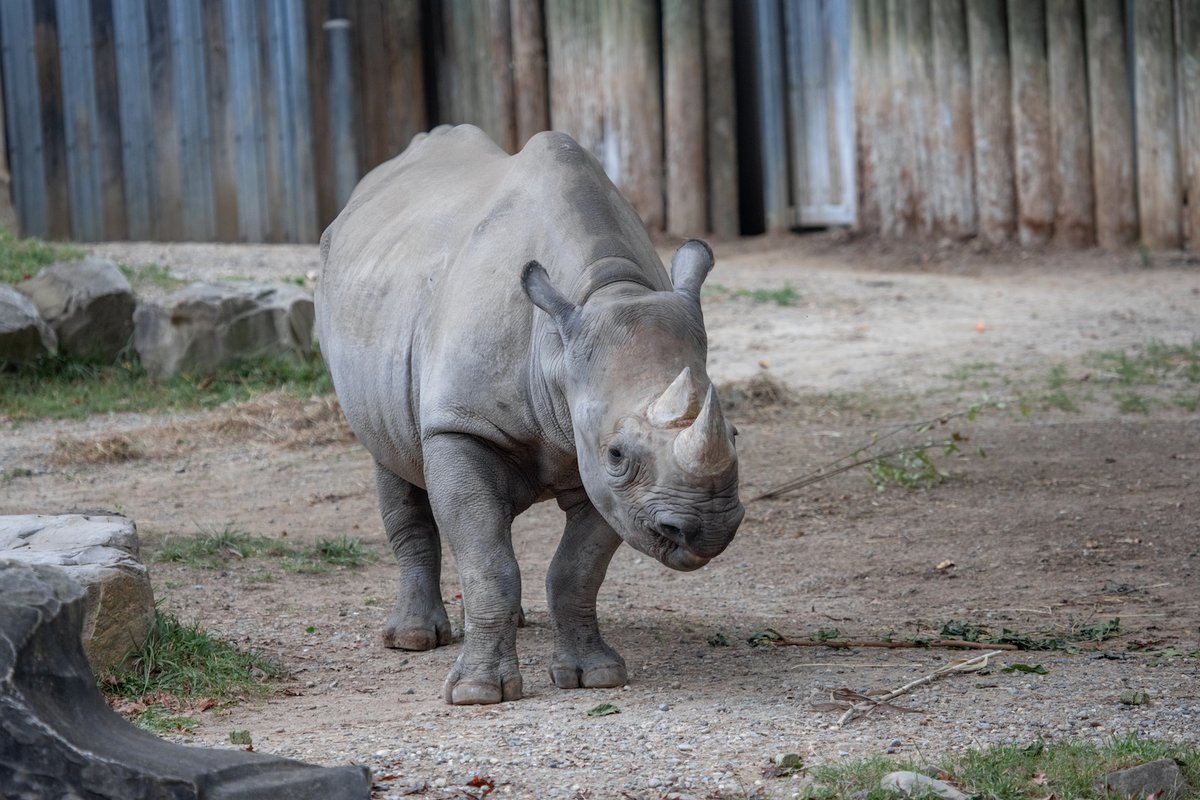 netflix⁷ tweet media