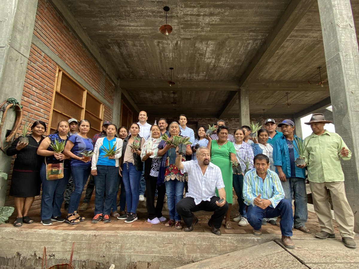 Asamblea de Maestros Mezcaleros con el subsecretario de medio ambiente federal para la recuperación de agaves silvestres y reforestación con árboles endémicos. 
#mezcal #tradicional #maestrosdelmezcal #Oaxaca