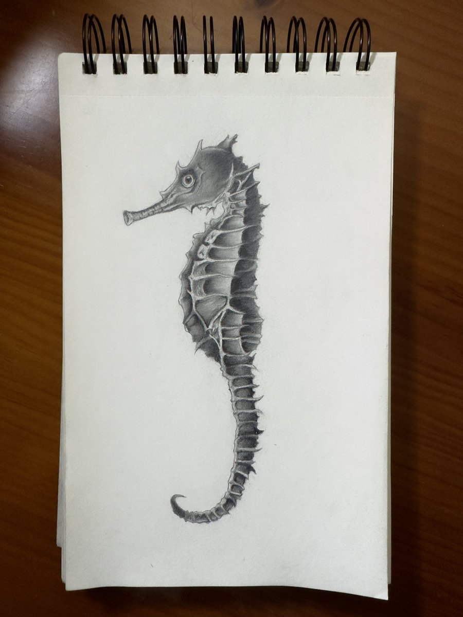 el otro dibujé a este pequeñín y luego me di cuenta de que le falta la aleta 🤌🏽🤌🏽 pero amamos igualmente 🥹