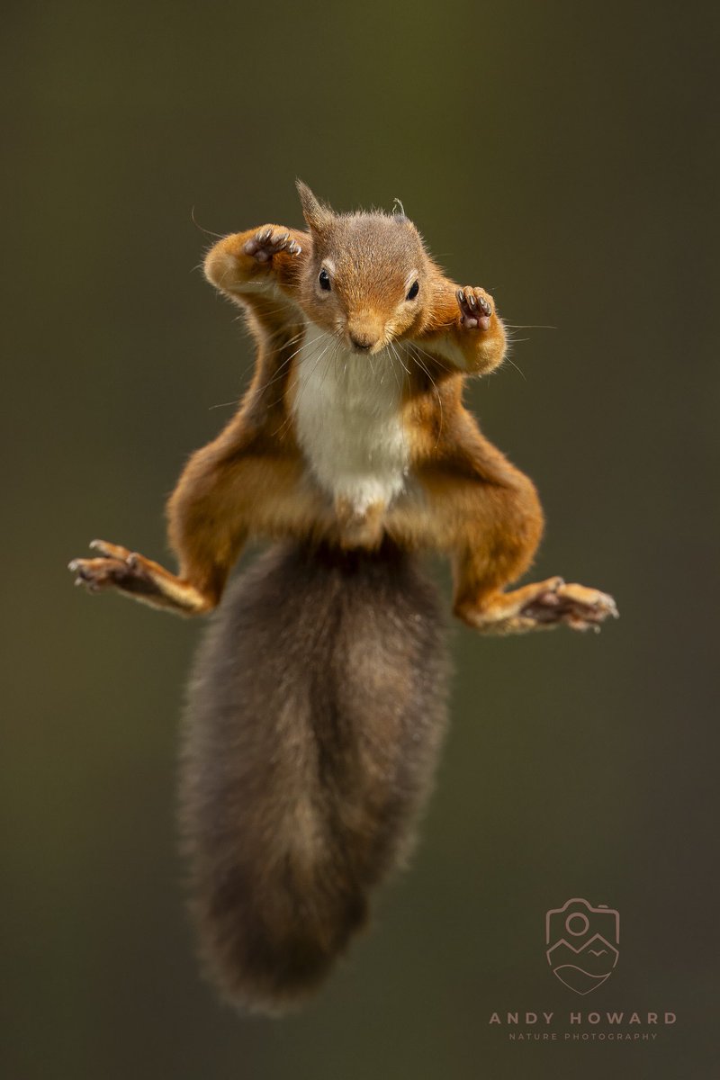 Andy Howard tweet media