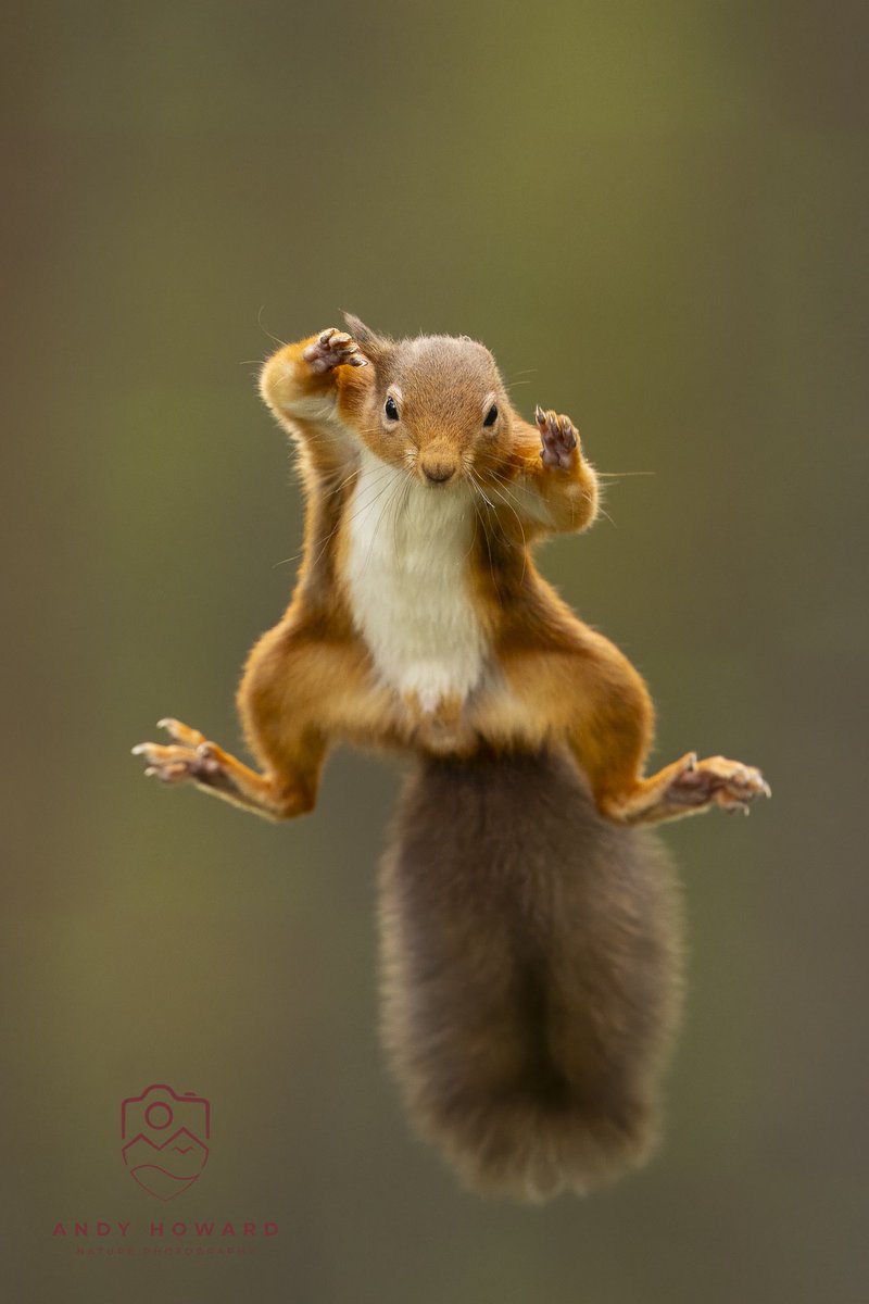 Andy Howard tweet media