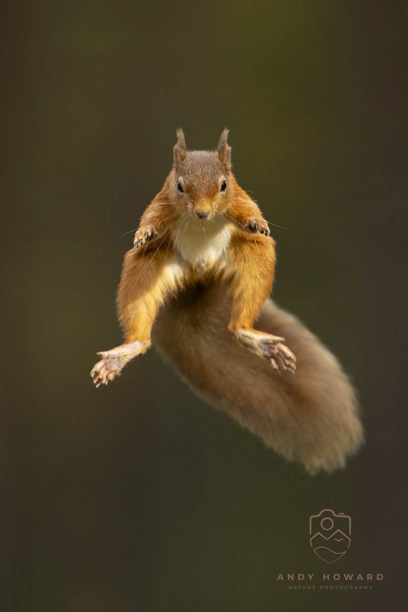 Andy Howard tweet media