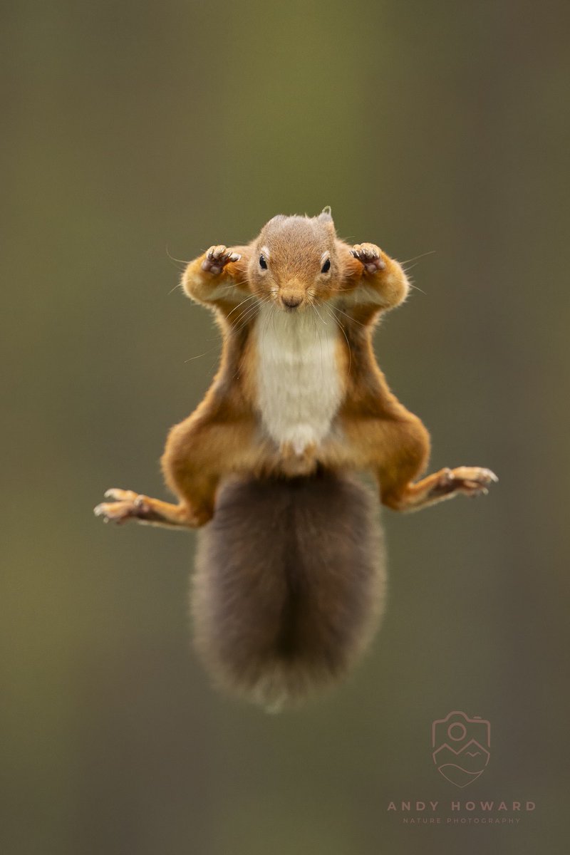 Andy Howard tweet media