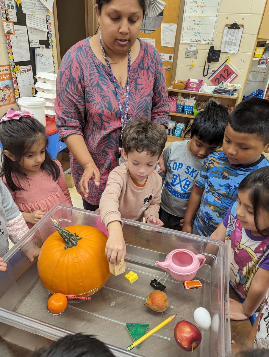 YDomadia's tweet photo. E is for Experiment! 
Today we learned about Sink and Float! We collected items around our class and tested it along with pumpkin and apple! 
#NBTeamPreschool #ParsonsPride https://t.co/ViLGSGan7D