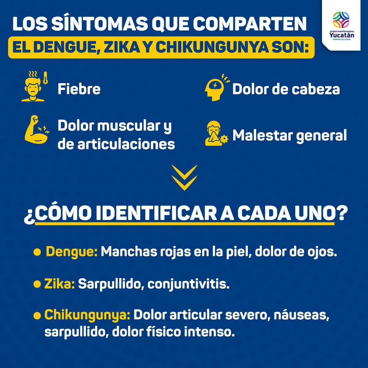 GobYucatan's tweet photo. ¡No bajemos la guardia contra el mosquito!

Identifica los signos y síntomas del dengue, chikungunya o zika y acude a tu Centro De Salud más cercano, recuerda no automedicarte. En equipo protegemos la saud de las familias yucatecas.

Más información en: https://t.co/lkbRyBIFed https://t.co/dyxax4COGO