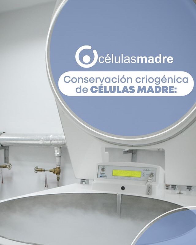 celulasmadrela's tweet photo. Las Células Madre criogénicamente conservadas se mantienen en un estado neutral, nunca envejecerán, permanecerán jóvenes indefinidamente y estarán listas para actuar cuando sea necesario.
🔬🧫
Para más información llámanos al WhatsApp (0414)394.21.99...
👇🏼
https://t.co/TV6SgC8lTM https://t.co/vD0epGZFAK