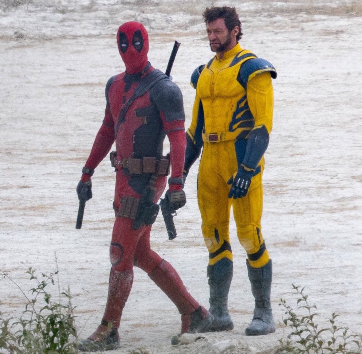 Deadpool Updates on X: 'DEADPOOL 3' has been removed from its May 3, 2024 release  date. 'CAPTAIN AMERICA: BRAVE NEW WORLD' is expected to take its place.  (via:   / X