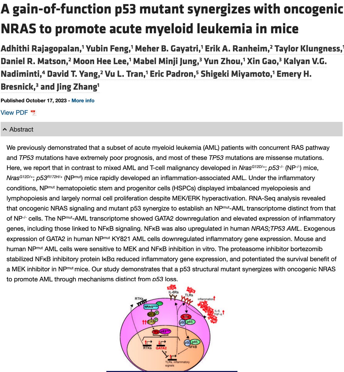 Congratulations to Jing Zhang and her student Adhithi Rajagopalan on her new manuscript in JCI. The Matson lab is thrilled to have had the opportunity to collaborate on a small piece of this study. Nice work Adhithi and Jing!