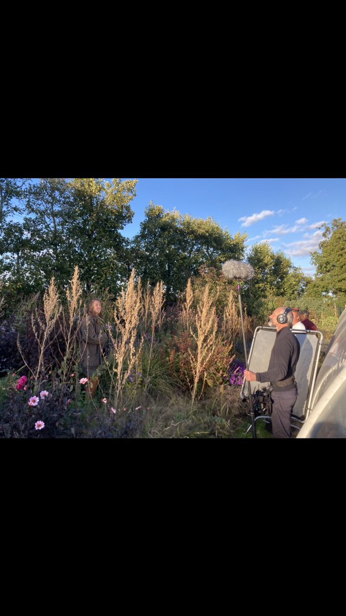 Steven Edney tweet media