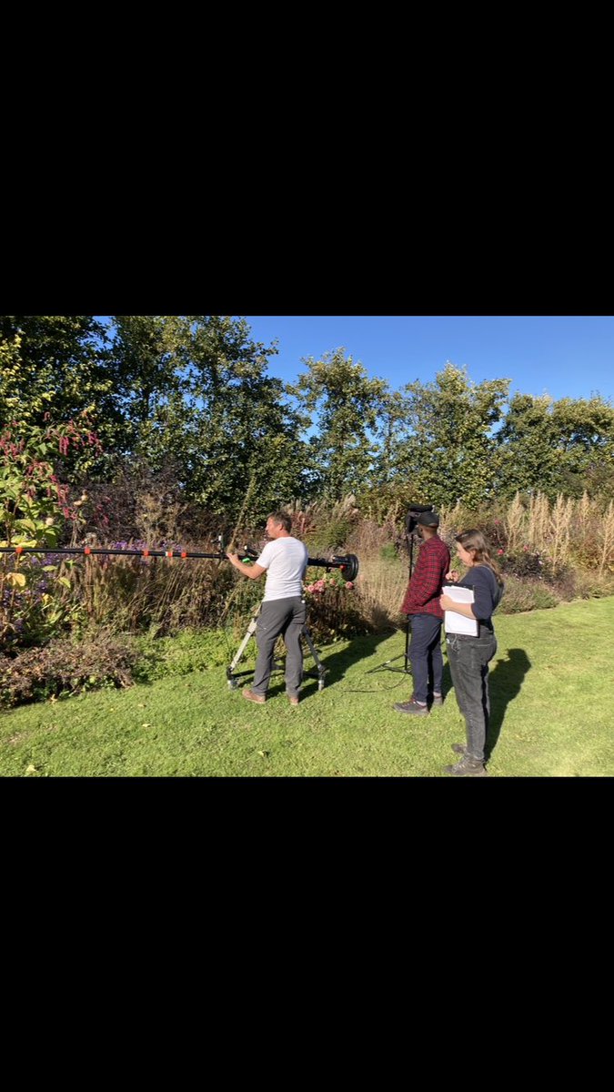 Steven Edney tweet media