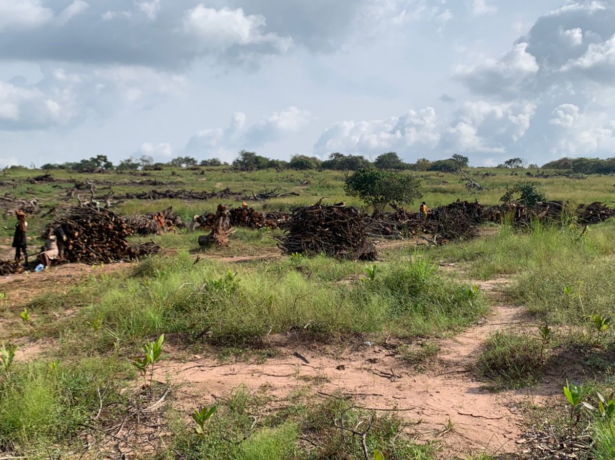 Geography at University of Nigeria tweet media