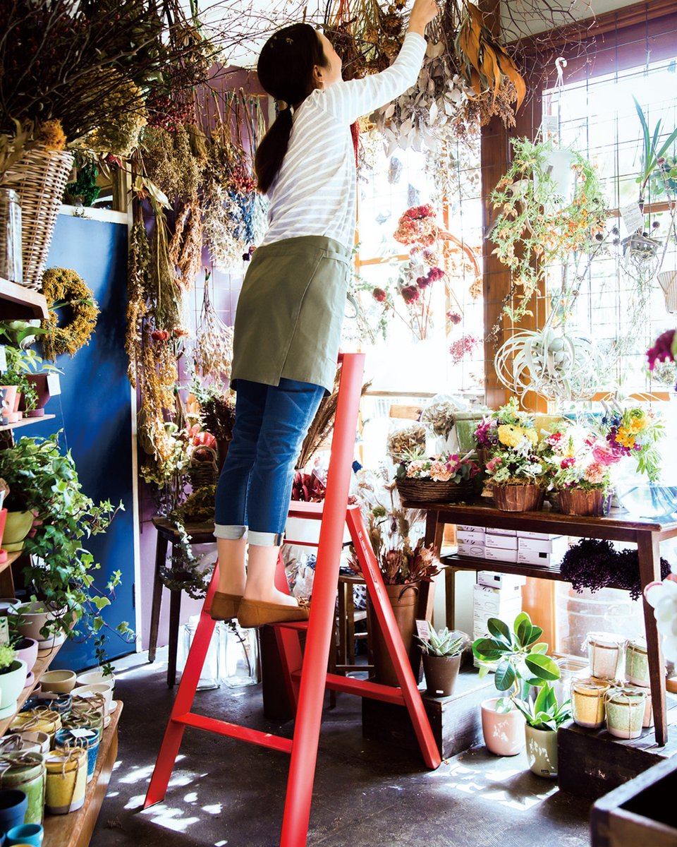 Did you know we also sell a variety of ladders for use around the home? No more wobbling on dining chairs or pretending not to see the cobwebs: the powder-coated aluminium Lucano is strong, stable &amp; so stylish you may not bother folding it to its slim 6” depth &amp; stashing it away.