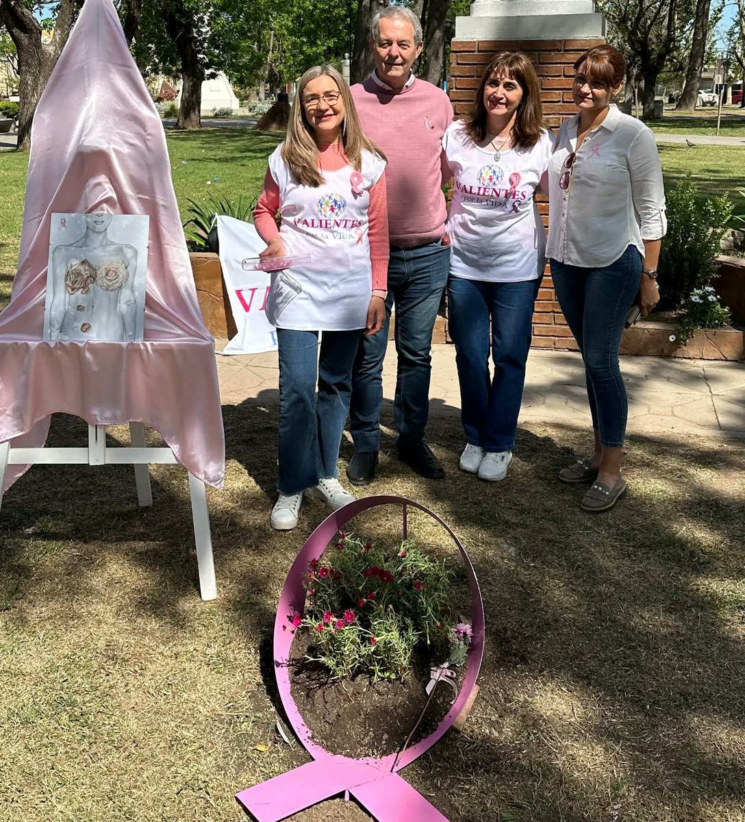 Daniel Tonelli tweet media