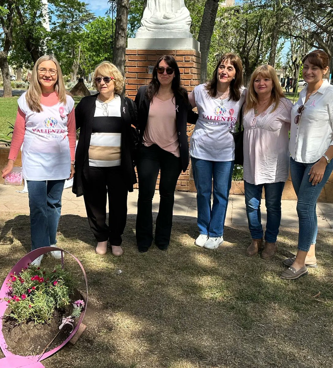 Daniel Tonelli tweet media