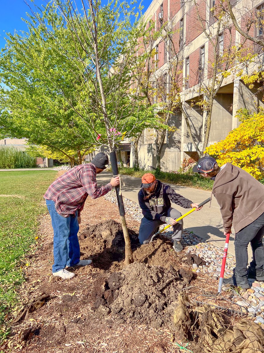 Planting a tree in honor of transfers 🌳💚 We've enjoyed celebrating the transfer student experience this week at ESF! Thanks to everyone that joined us for the inaugural event series😊