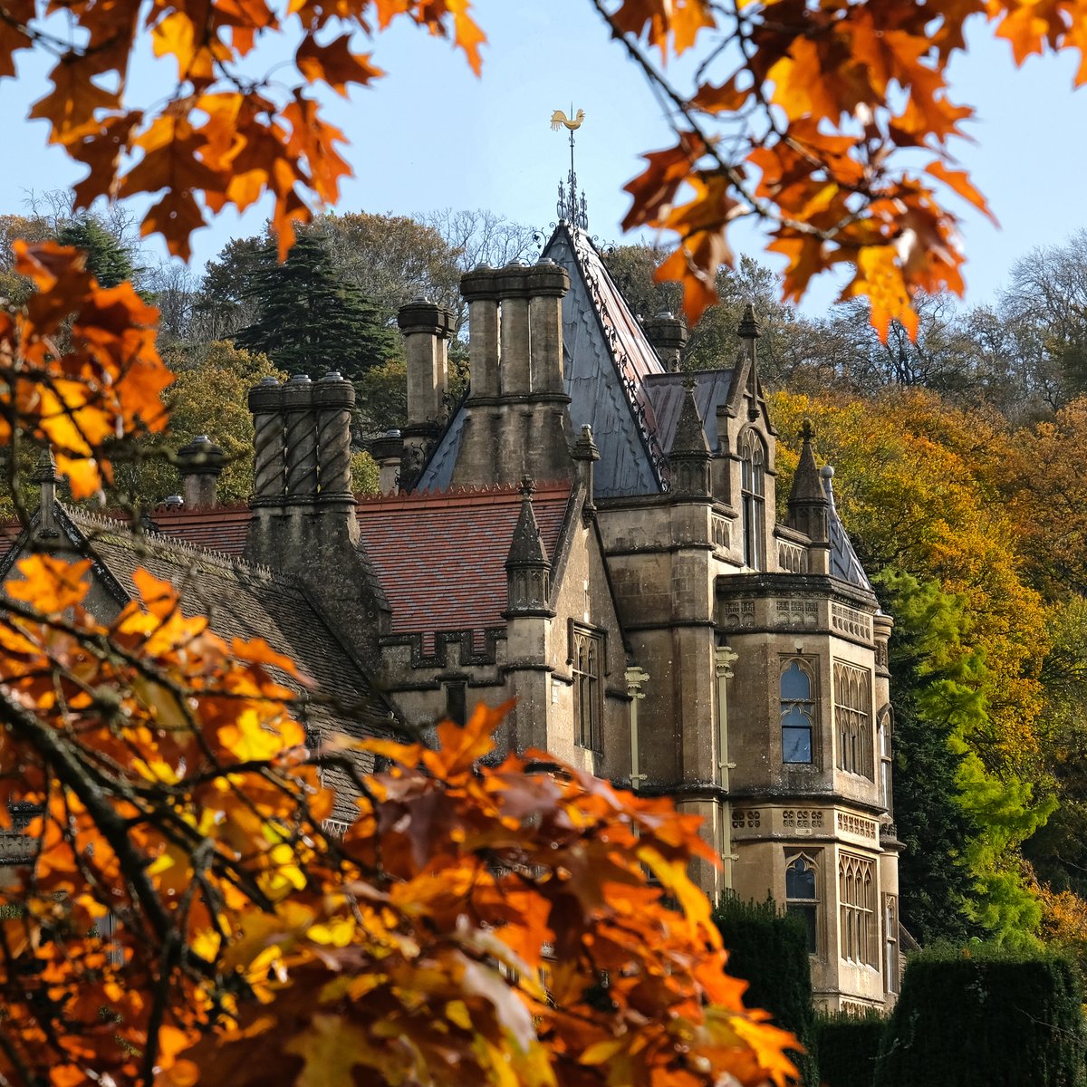 National Trust tweet media