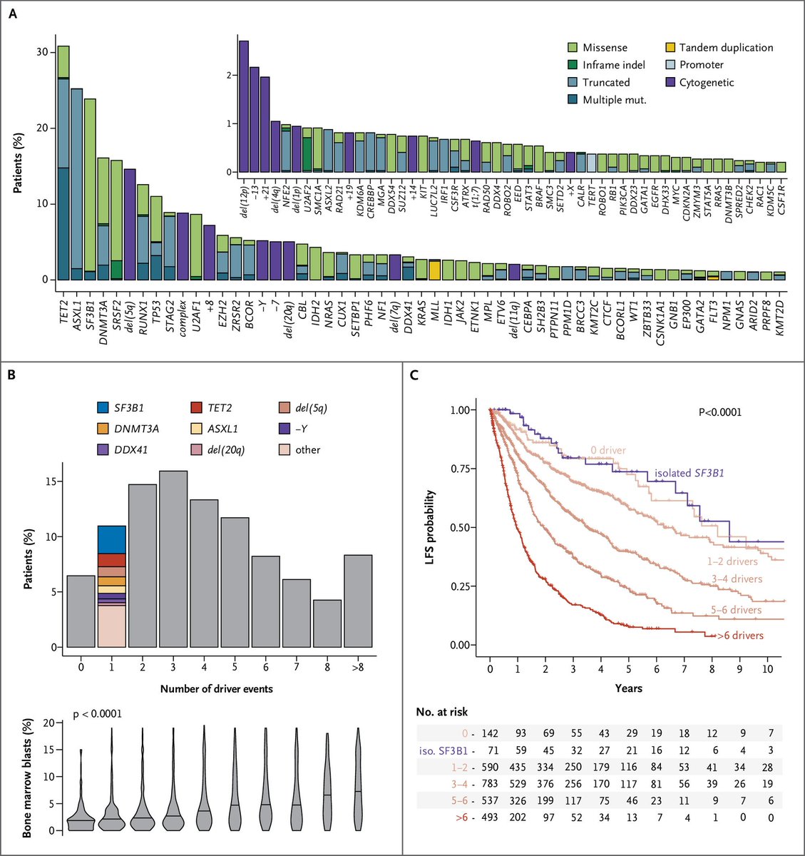 mtmdphd's tweet photo. Molecular International Prognostic Scoring System for Myelodysplastic Syndromes (#IPSSM) [Jun 12, 2022] @Elsa2Bernard et al. @PapaemmanuilLab @NEJMEvidence https://t.co/7yyQ3XHhWk #MDSsm an international study from the #IWG, supported by @MDSFoundation https://t.co/Ru7ww14wiU