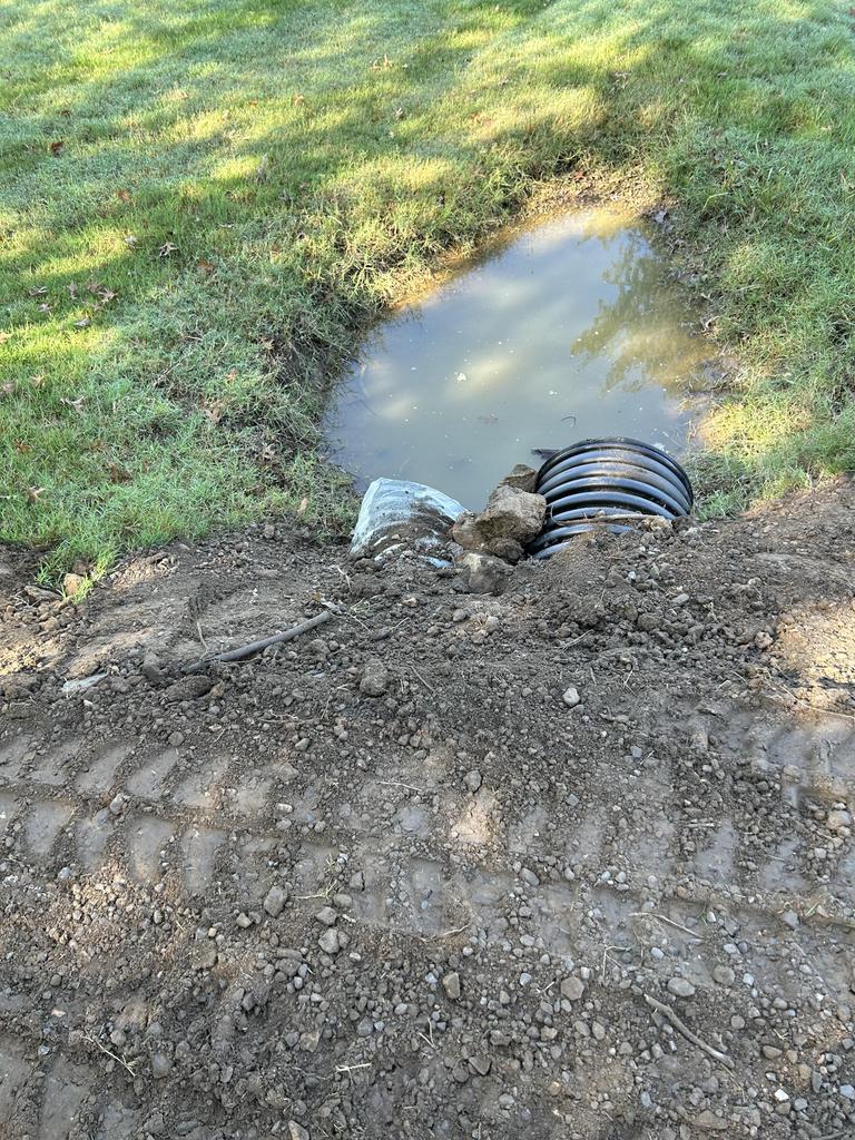 Rusty Winchester tweet media