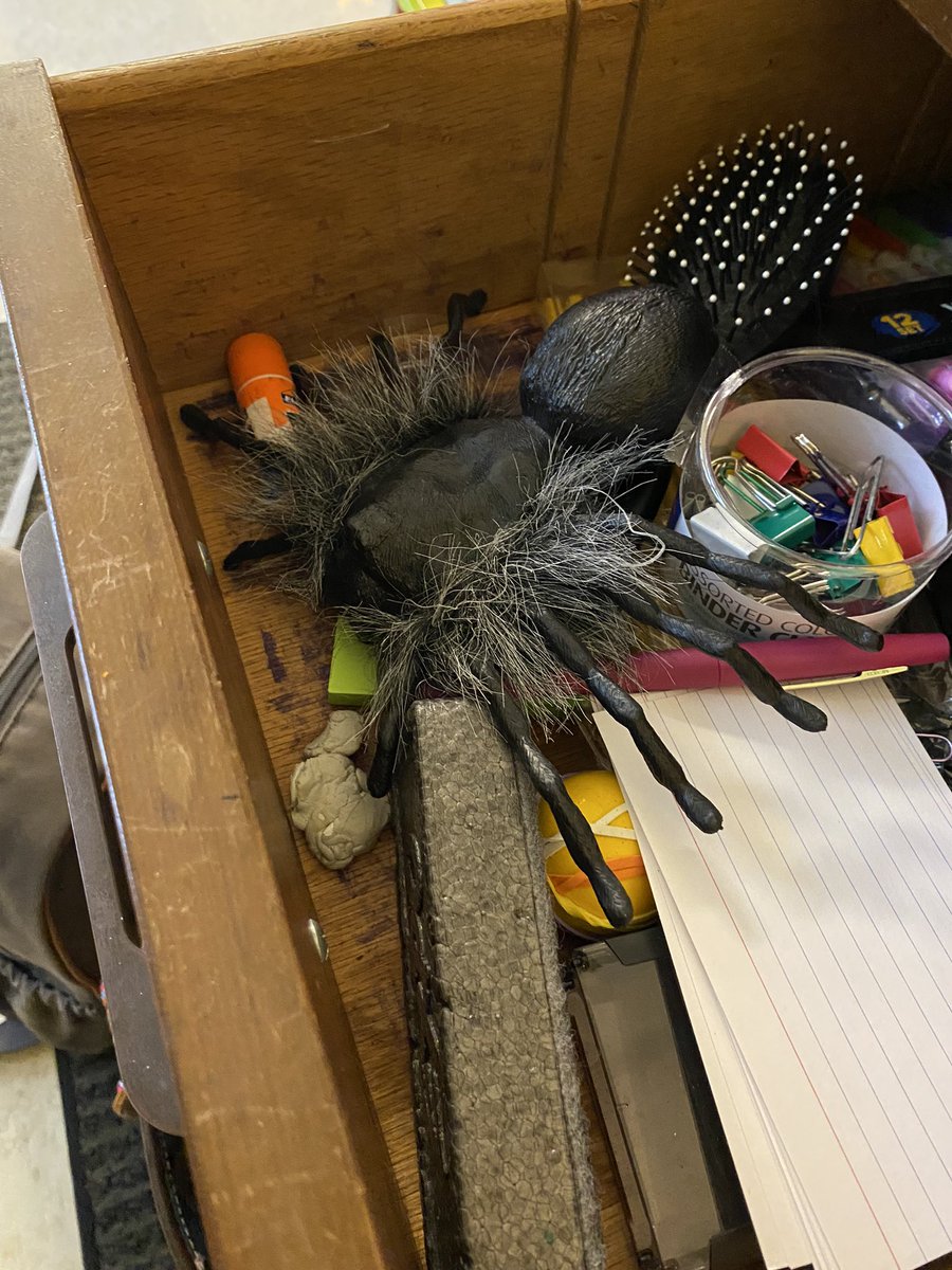 THEMrsHull's tweet photo. When your students enjoy pranks… you find all sorts of little critters 🕷️🕷️🕷️ https://t.co/d7Y7i35M5z
