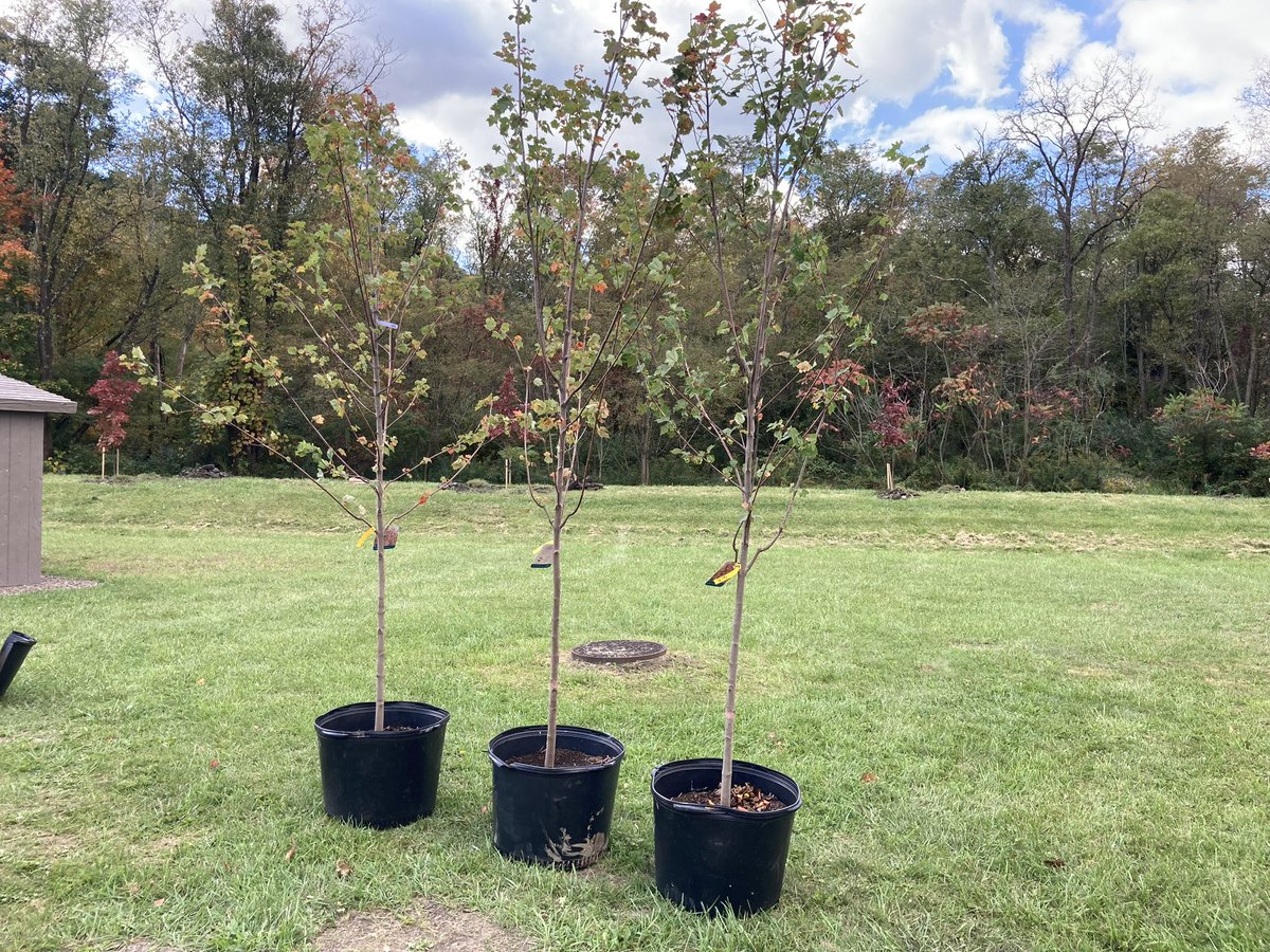 911trail tweet media