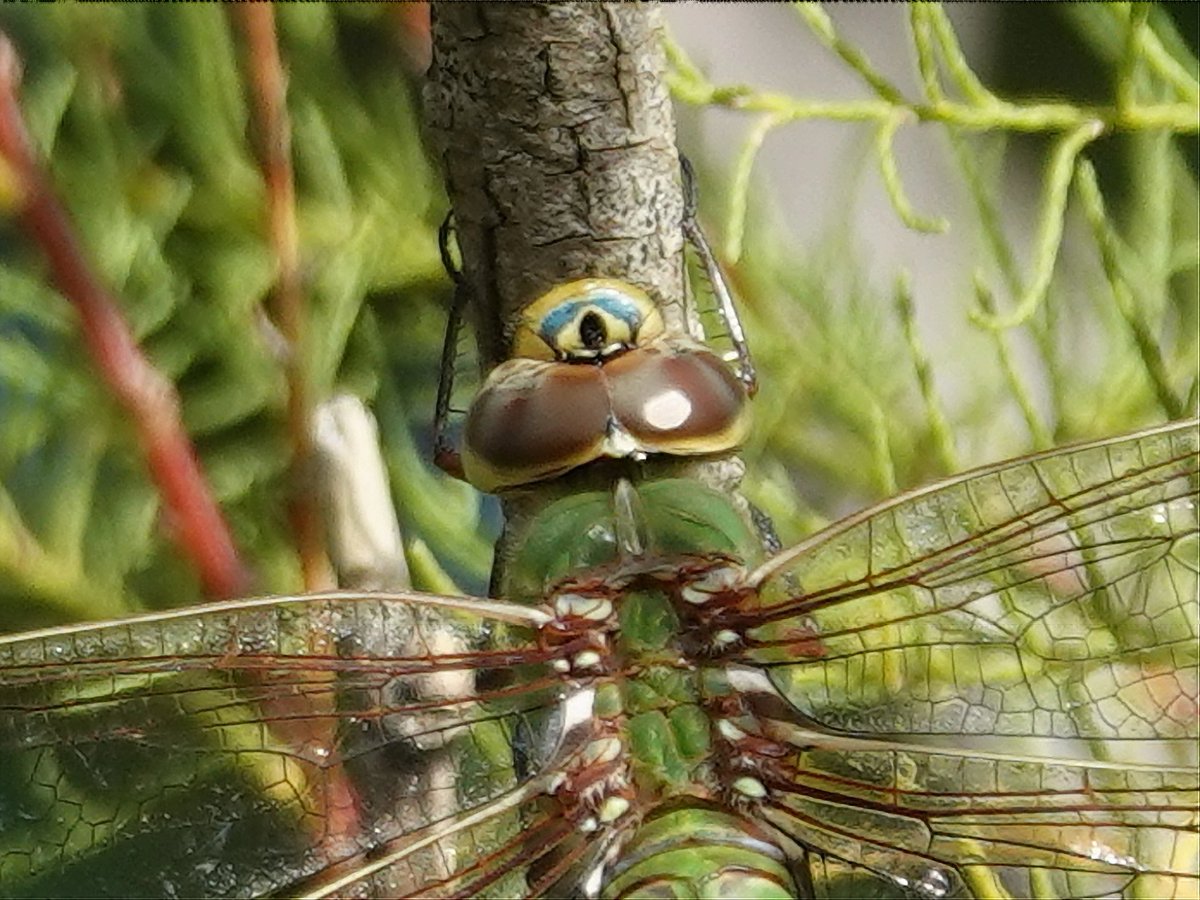 Barry Reed tweet media