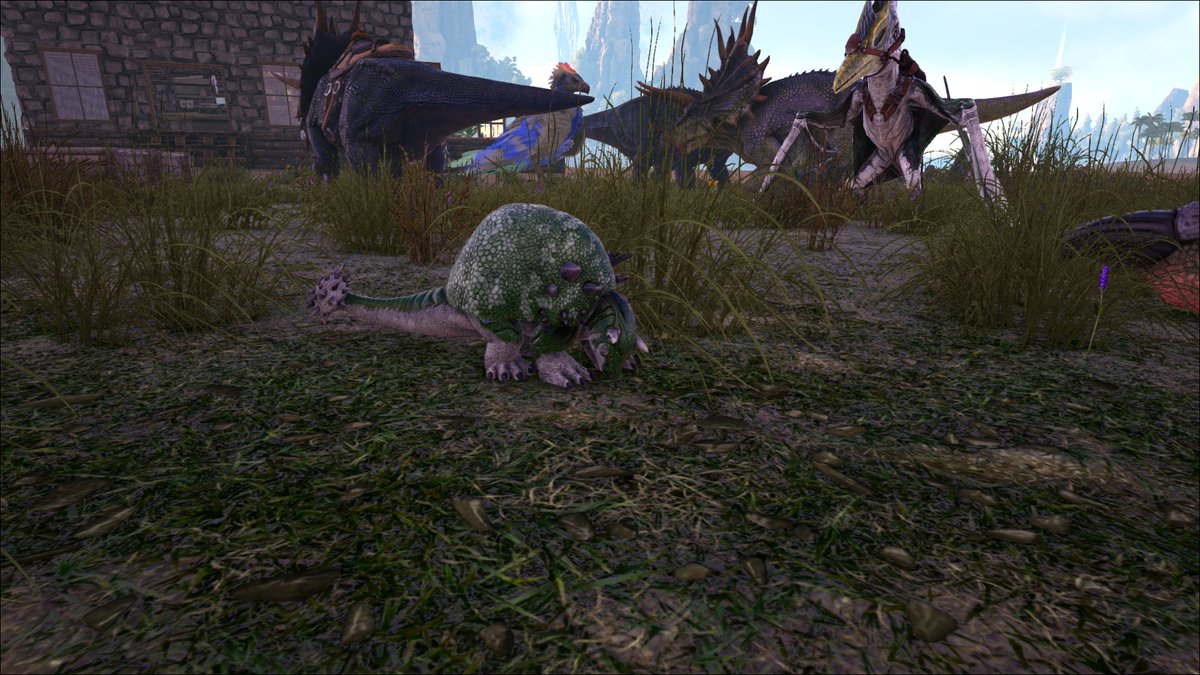 Miss_Delight_fr's tweet photo. C'est trop choupi un bébé doedicurus ♥ #ARKSurvivalEvolved #playARK #doedicurus https://t.co/7KPApTgqVa