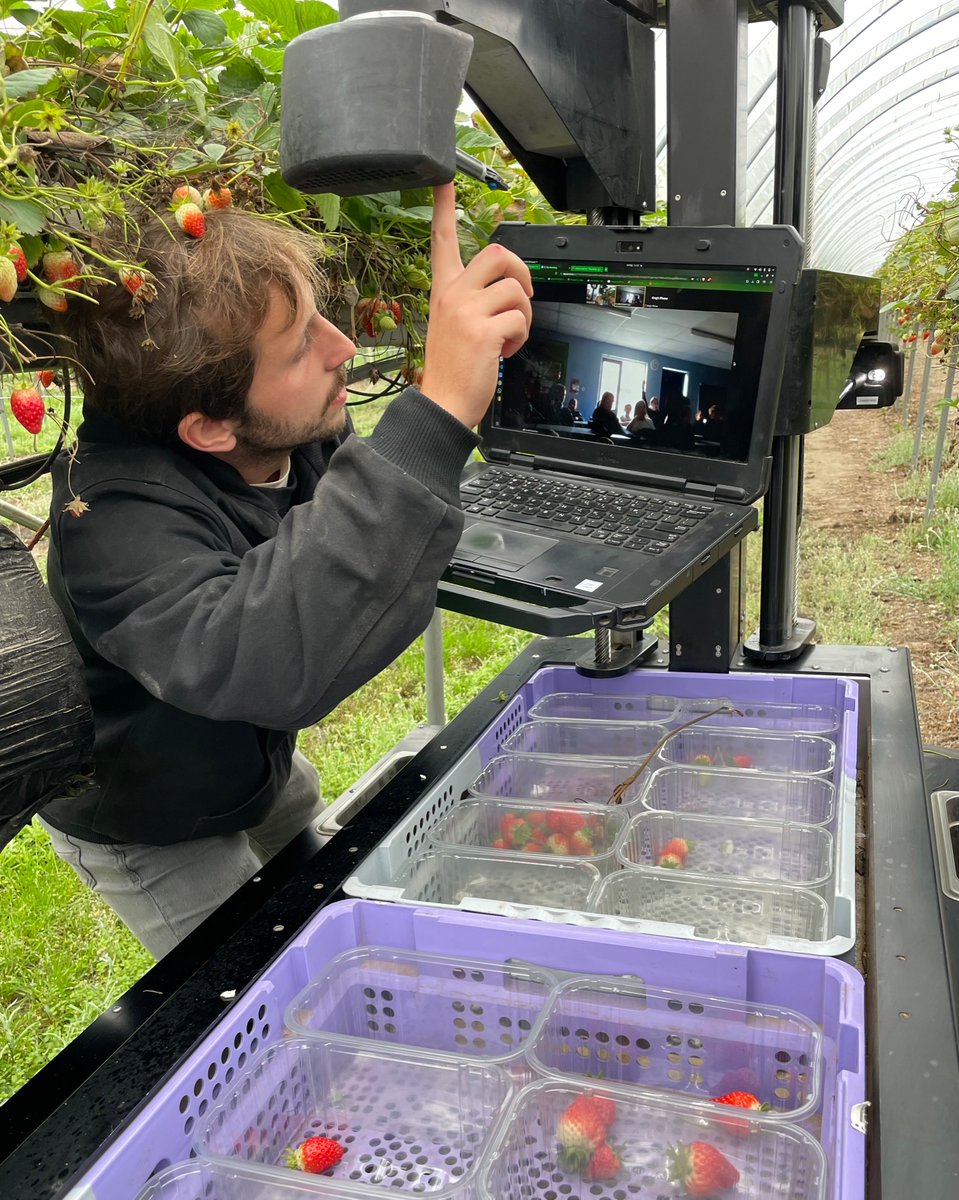 NewForestFruit's tweet photo. #FarmerTime Educating future generation 🍓🤖
Great session with Y6 pupils at St.Giles School today. It was all about #AgTech &amp; #innovation , big thanks to Greg @TortugaAgTech for very informative talk . 
@LEAF_Education @ClassroomMuddy @Farmer_Tom_UK https://t.co/rrMmP3Gwa9